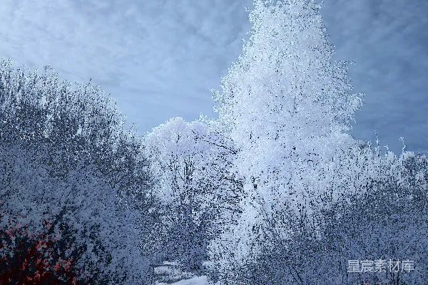 高清摄影 一条小路穿过雪地，宛如梦幻的景象。
