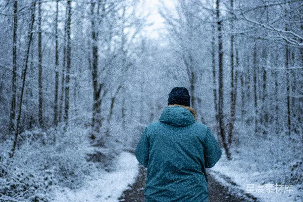 高清摄影 一个走在积雪森林小径上的人