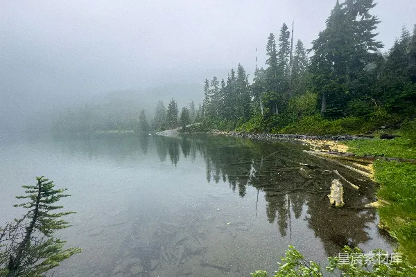 雾气缭绕的湖畔，周围是常绿树木和岸边景色