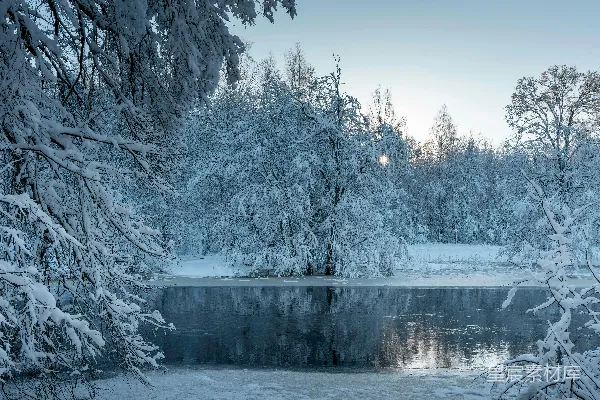 高清摄影 覆盖着雪的树木围绕着一个结冰的湖泊。