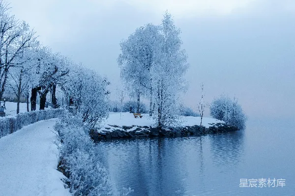 高清摄影 一条被雪覆盖的小径沿着平静的湖泊延伸，树木上覆盖着霜冻。