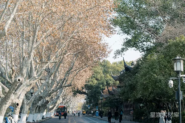 树影斑驳的小路两侧有传统建筑和人。