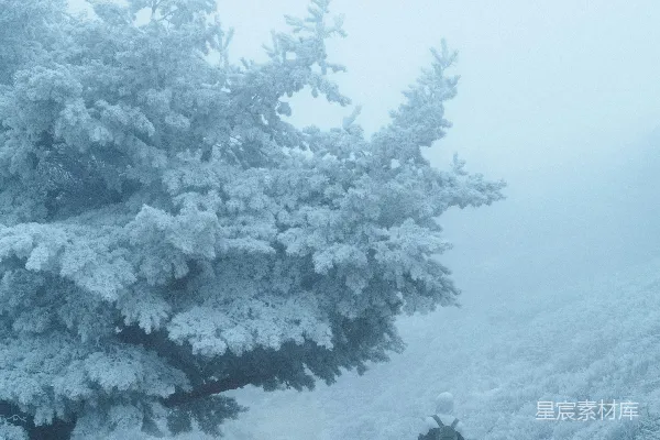 高清摄影 一个人在雪地的小路上行走