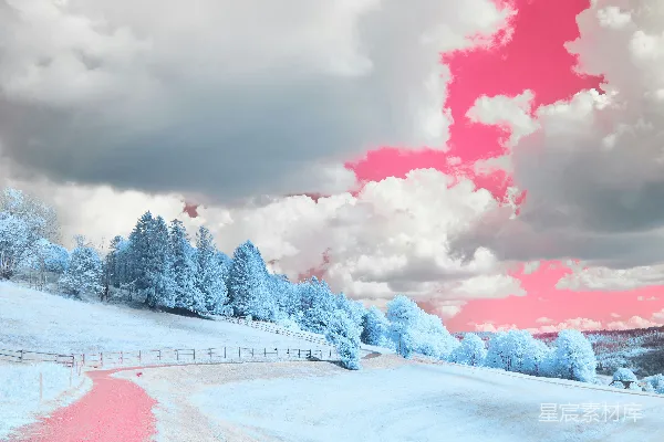 高清摄影 蓝树和粉云覆盖在雪景之上。