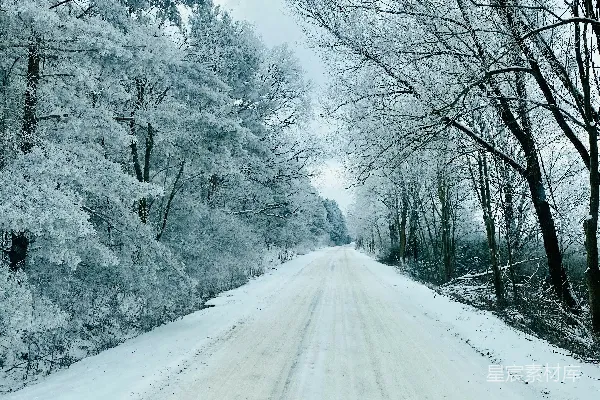 高清摄影 白天，树木覆盖着白雪的道路在蓝天映衬下显得格外宁静。