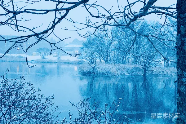 高清摄影 一片被树木覆盖的水面，树木上覆盖着积雪。