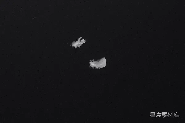 黑白星星和月亮