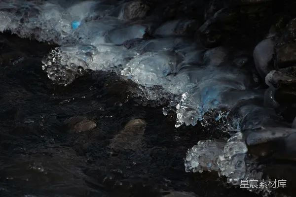 高清摄影 一只鸟飞过水面