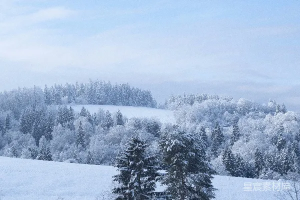 高清摄影 一座被雪覆盖的山，前景中有树木。