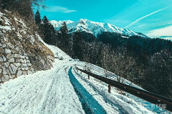 高清摄影 白天蓝天下，树木间的积雪覆盖的道路