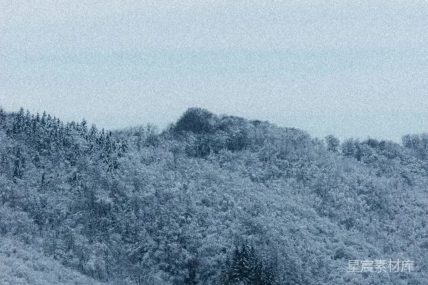 高清摄影 灰山上的绿树