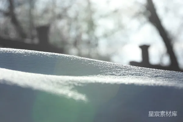 高清摄影 一片覆盖着雪的表面的特写，背景中有树木。