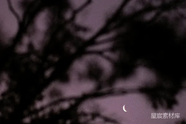 黑色和紫色的天空中有星星