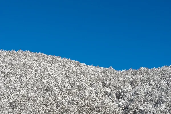 高清摄影 一个男人在雪覆盖的斜坡上滑雪板滑行。