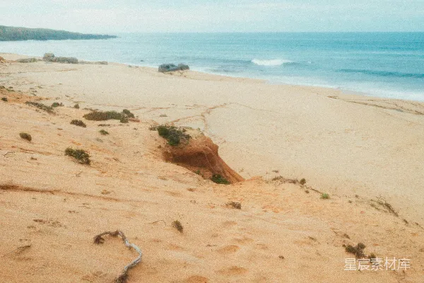 冲浪板正躺在海边靠近海洋的地方。