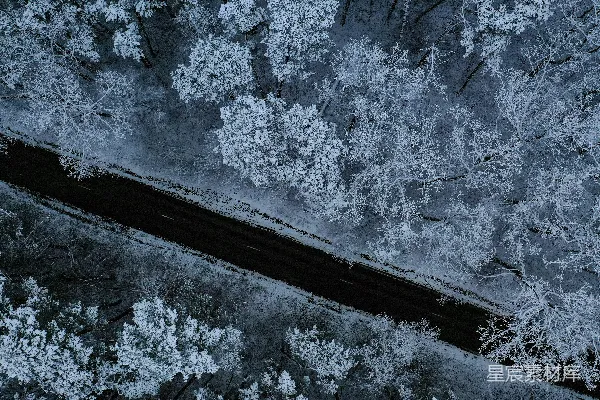 高清摄影 一条被积雪覆盖的树木环绕的道路的空中俯瞰图