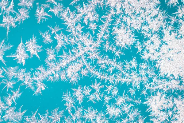 高清摄影 蓝色背景上有白色的雪花。