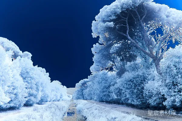 高清摄影 一条覆盖着积雪的道路，背景是蓝色的天空。