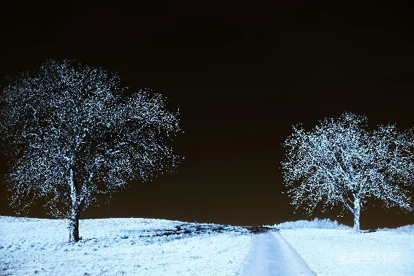 高清摄影 一条被雪覆盖的道路，两旁都是树木。