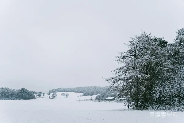 覆盖着皑雪的树木和田野在灰暗的天空下。