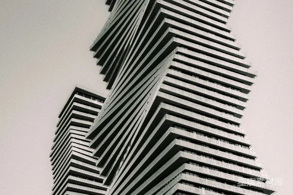 一张黑白照片中的高大建筑