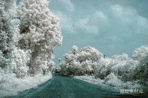 高清摄影 雪地里的林间小路在阴云密布的天空下