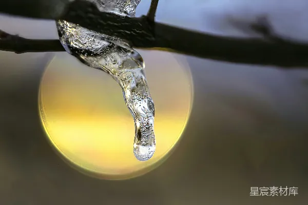 高清摄影 一滴水挂在树枝上