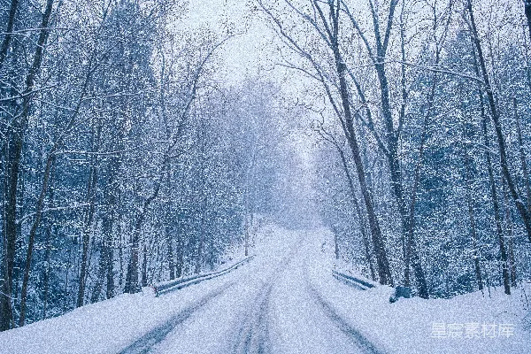 高清摄影 一条被雪覆盖的小路蜿蜒穿过森林。