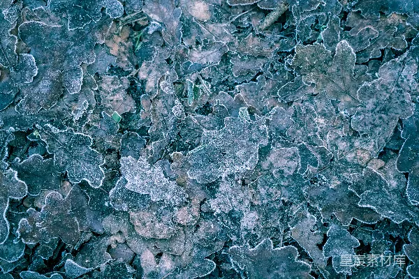 高清摄影 灰色和白色石片