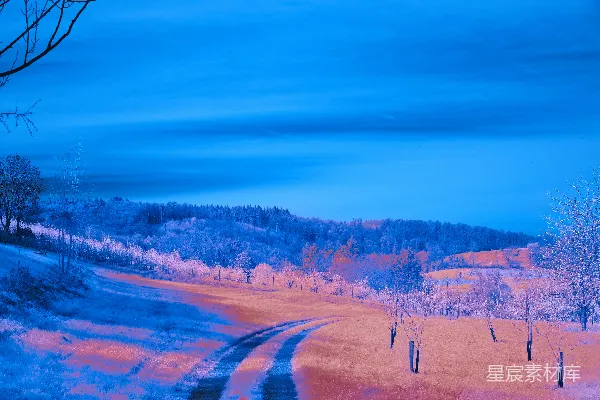 高清摄影 一条泥泞的小路穿过一片雪地。