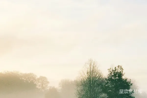 高清摄影 骑摩托车的人在树旁