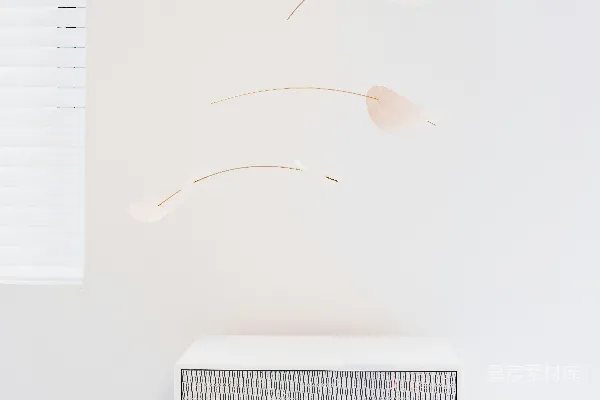 白色和灰色的speaker放在白色表面上