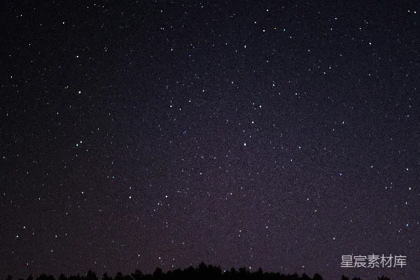 夜空被星星填满，树的轮廓若隐若现。