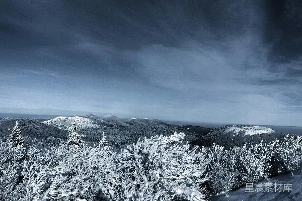 高清摄影 树木和山峰覆盖着积雪