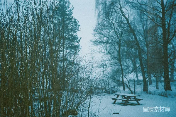 高清摄影 一个下雪的场景，有野餐桌和树木。