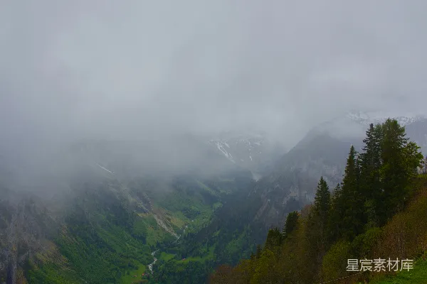 山雾缭绕的山谷绿树成荫远处是皑皑雪山。