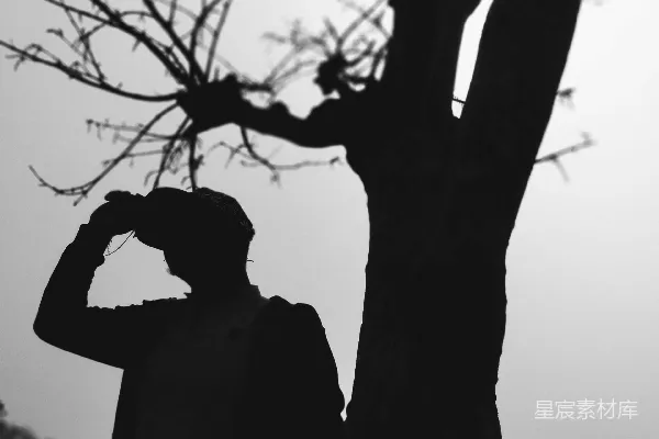 高清摄影 白天站在光秃秃的树旁的男子剪影
