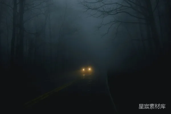 高清摄影 路上的树木之间有辆汽车