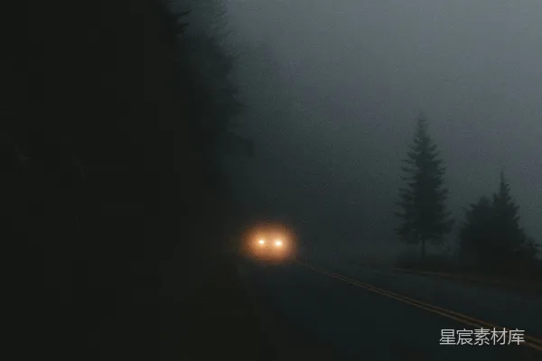 高清摄影 夜间道路上的车辆