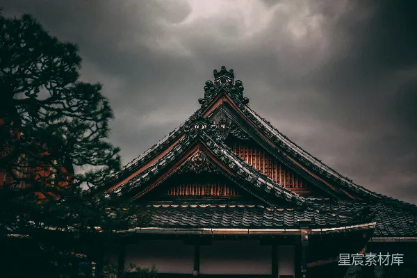高清摄影 树旁的黑屋顶房子
