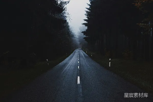 高清摄影 白天，树木之间有一条灰色的混凝土路。