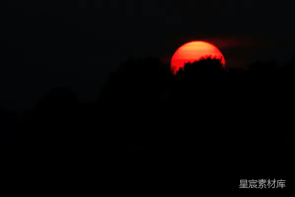 高清摄影 夕阳映照着树木