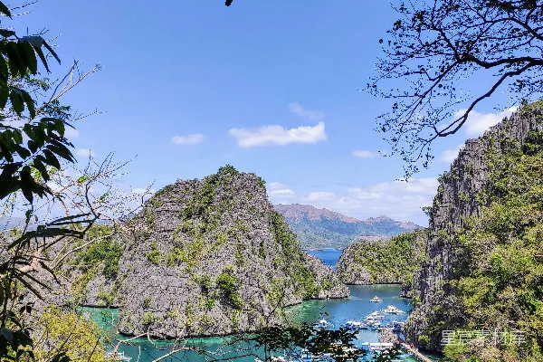 一座环绕着山脉和树木的海湾的景象