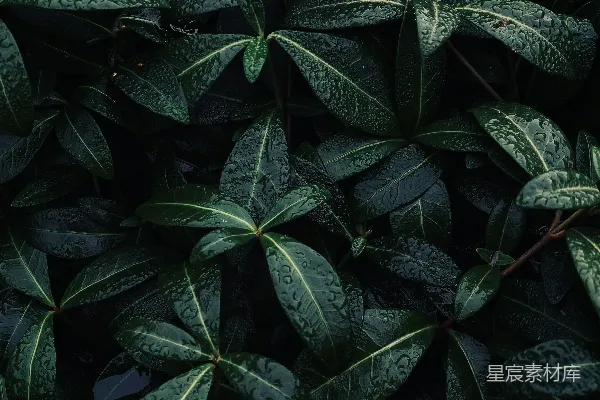 高清摄影 背景图案
