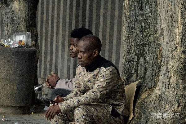 几人坐在树旁