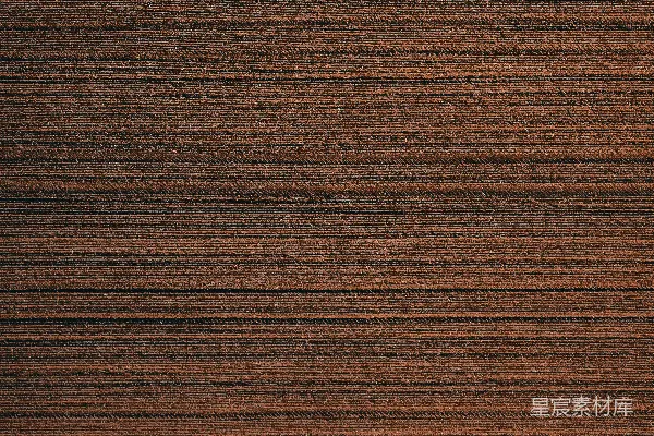 高清摄影 一张棕色木材纹理的特写图片