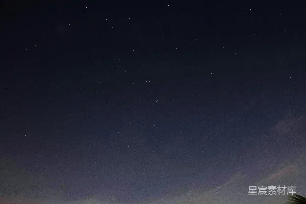 满天星光，淡云轻抚，树影斑驳