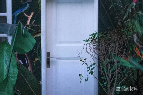 花园里的白门