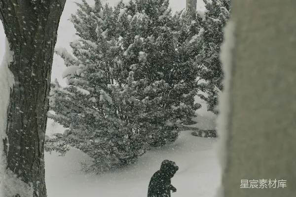 一个人在暴风雪中穿过一片积雪的公园。