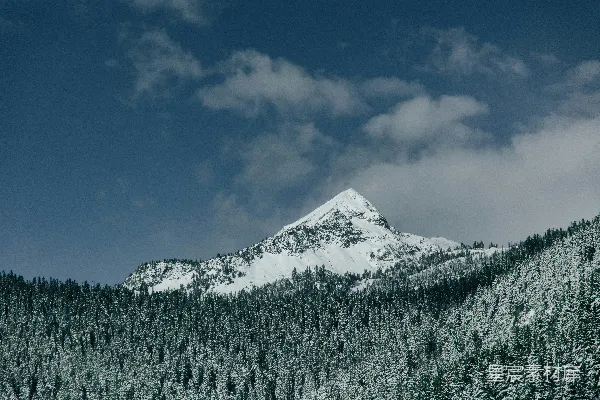雪覆盖的山峦与树木